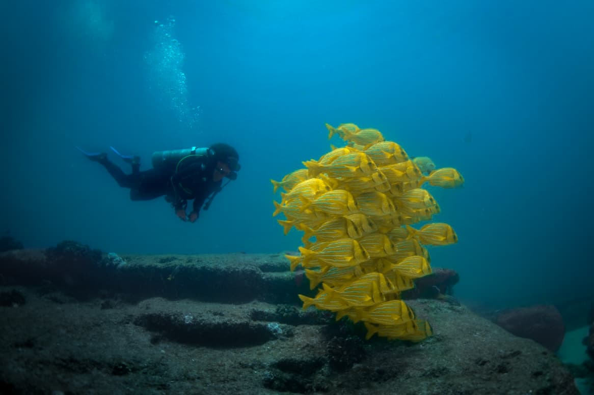 Buceo en Cabo Pulmo