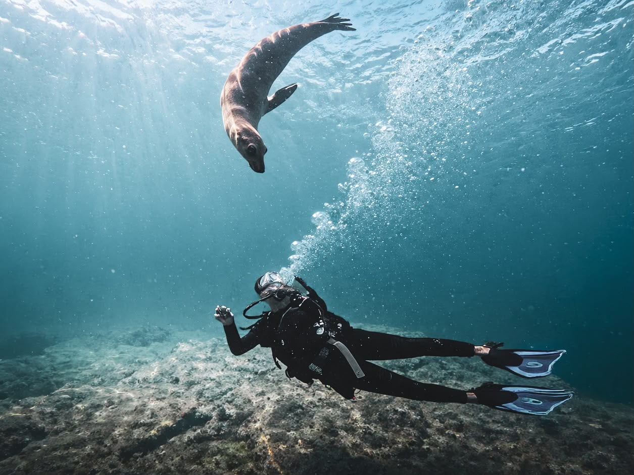 Buceo Isla Espíritu Santo