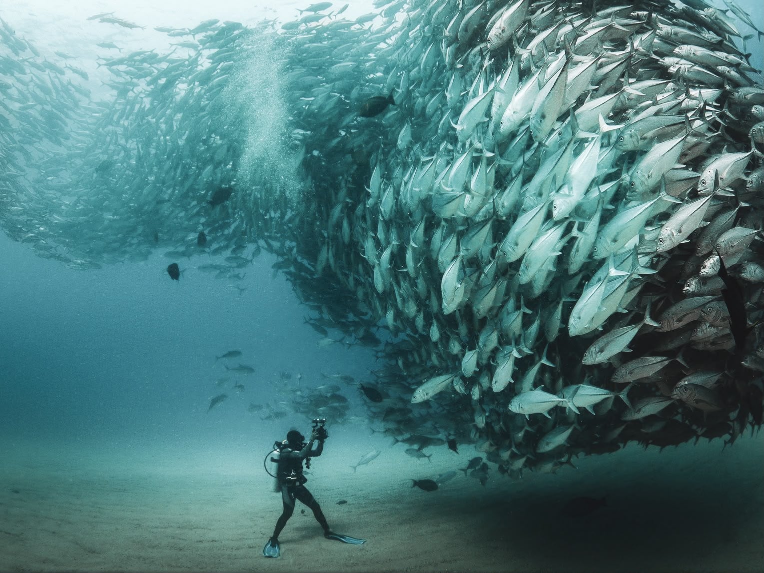 Buceo en Cabo Pulmo
