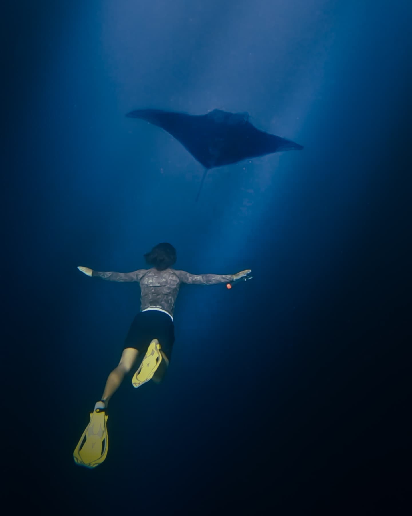 mau nadando con una matarraya gigante al fondo